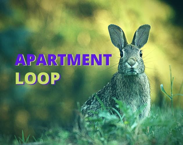 Apartment Loop