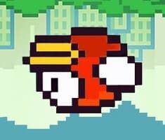 Floppy Bird (UP2047743 & UP2015280)