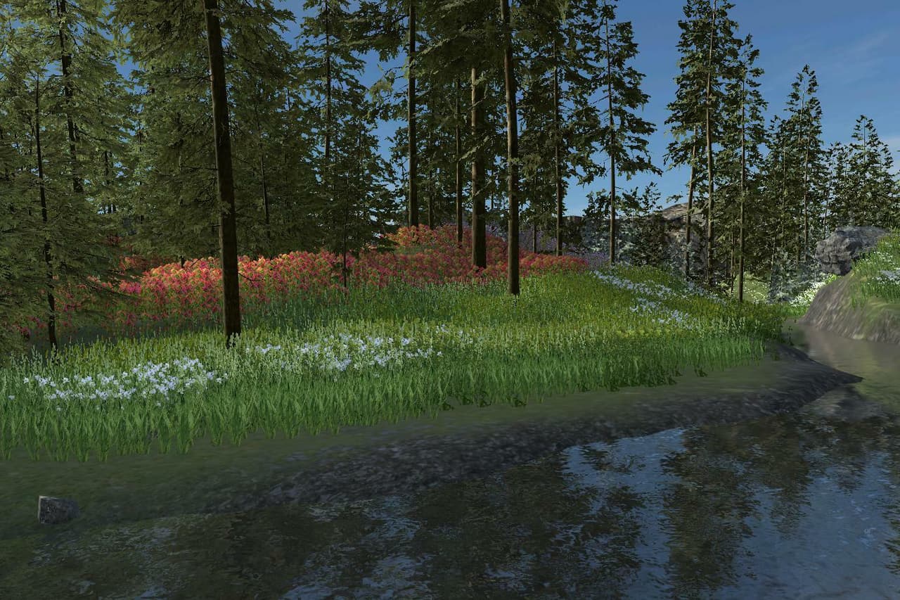 Enjoy the Scenery