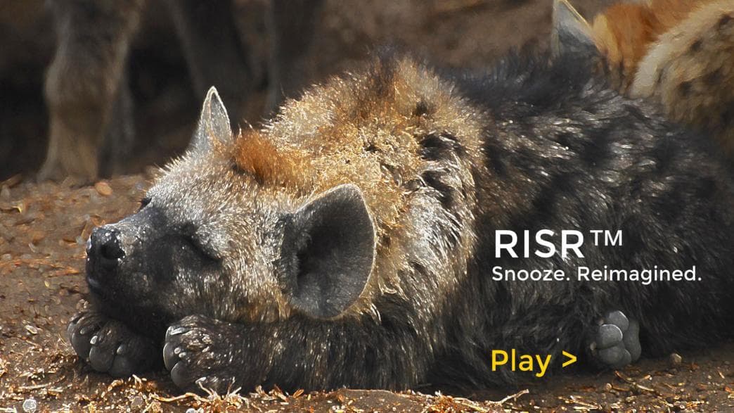 RISR screenshot 3