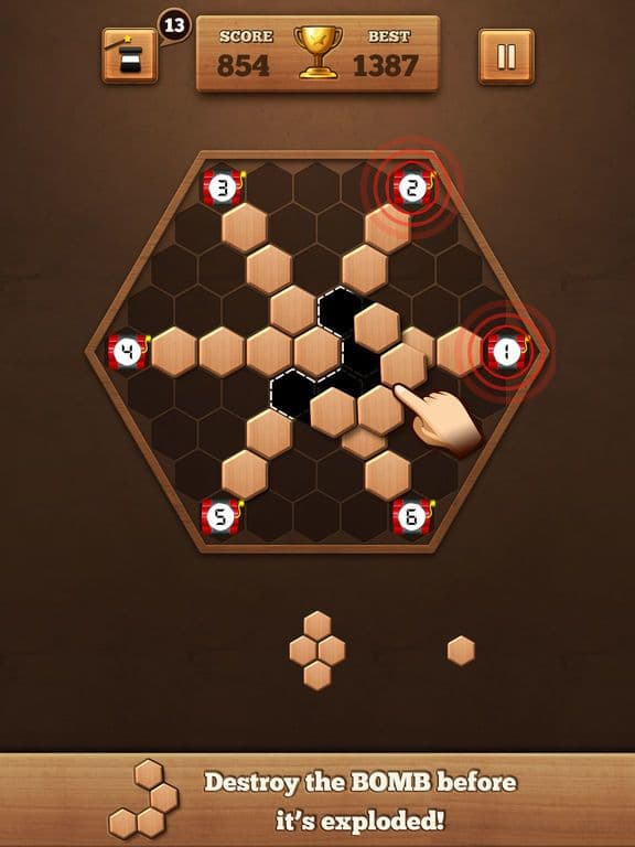 Fill Wooden Block: Wood Puzzle screenshot 3
