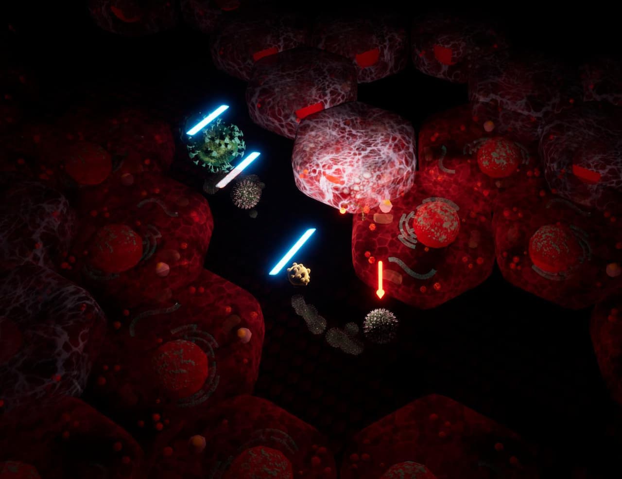 Virion - Prototype screenshot 2