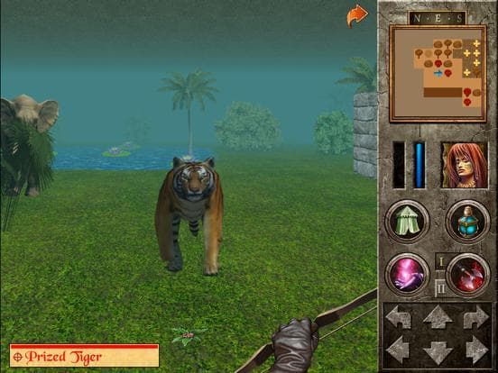 The Quest - Basilisks Eye screenshot 5