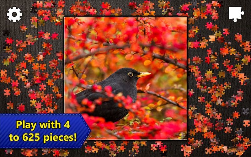 Jigsaw Puzzles Epic screenshot 5