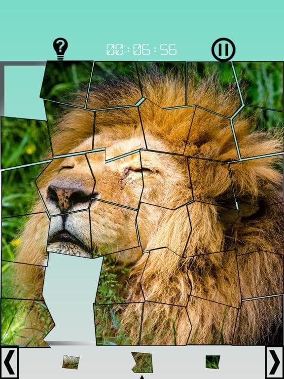 Images 15 Puzzles screenshot 5