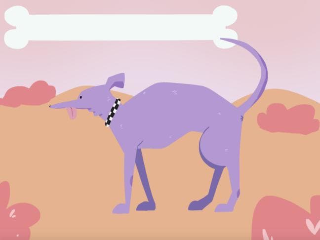 pet that dog