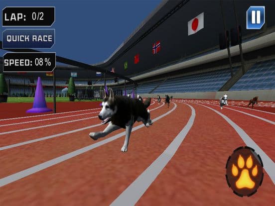 Extreme Crazy Dog Race 3D 2018 screenshot 5
