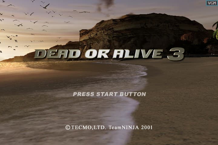 Dead or Alive 3 screenshot 2