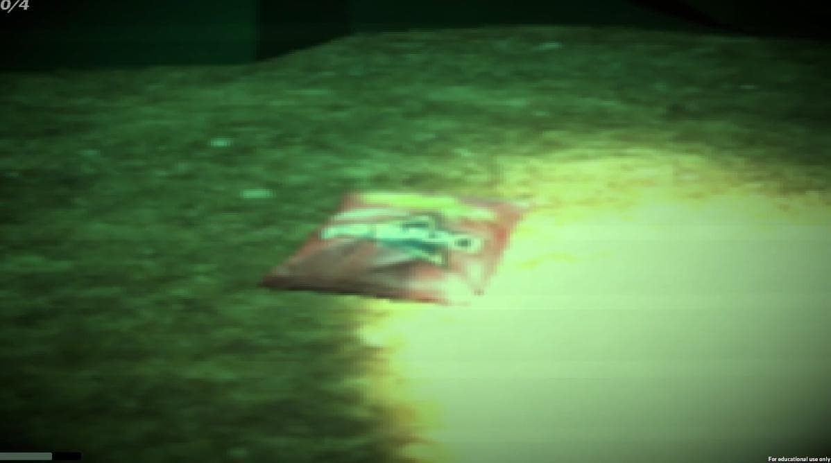 Forest of Fear (itch) screenshot 3