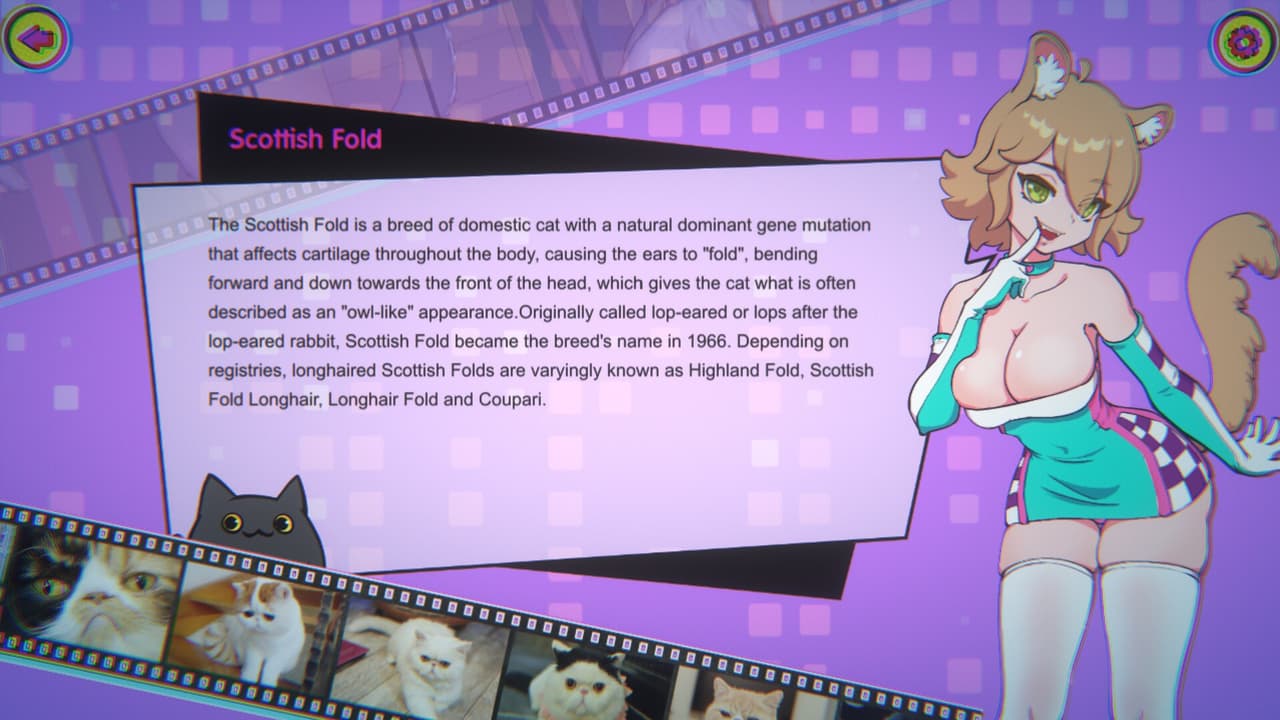 Miss Neko 3 screenshot 4