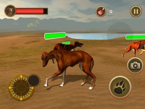 Bird Dog Chase Simulator screenshot 4