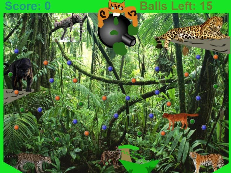 Silas - Cat Jungle