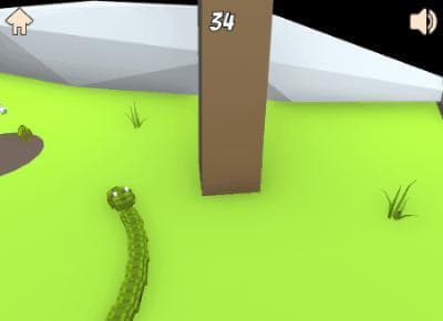 Snake Vs Chickens