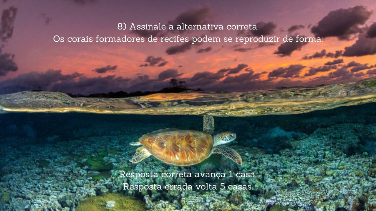 Reef (ADRIANO1932)