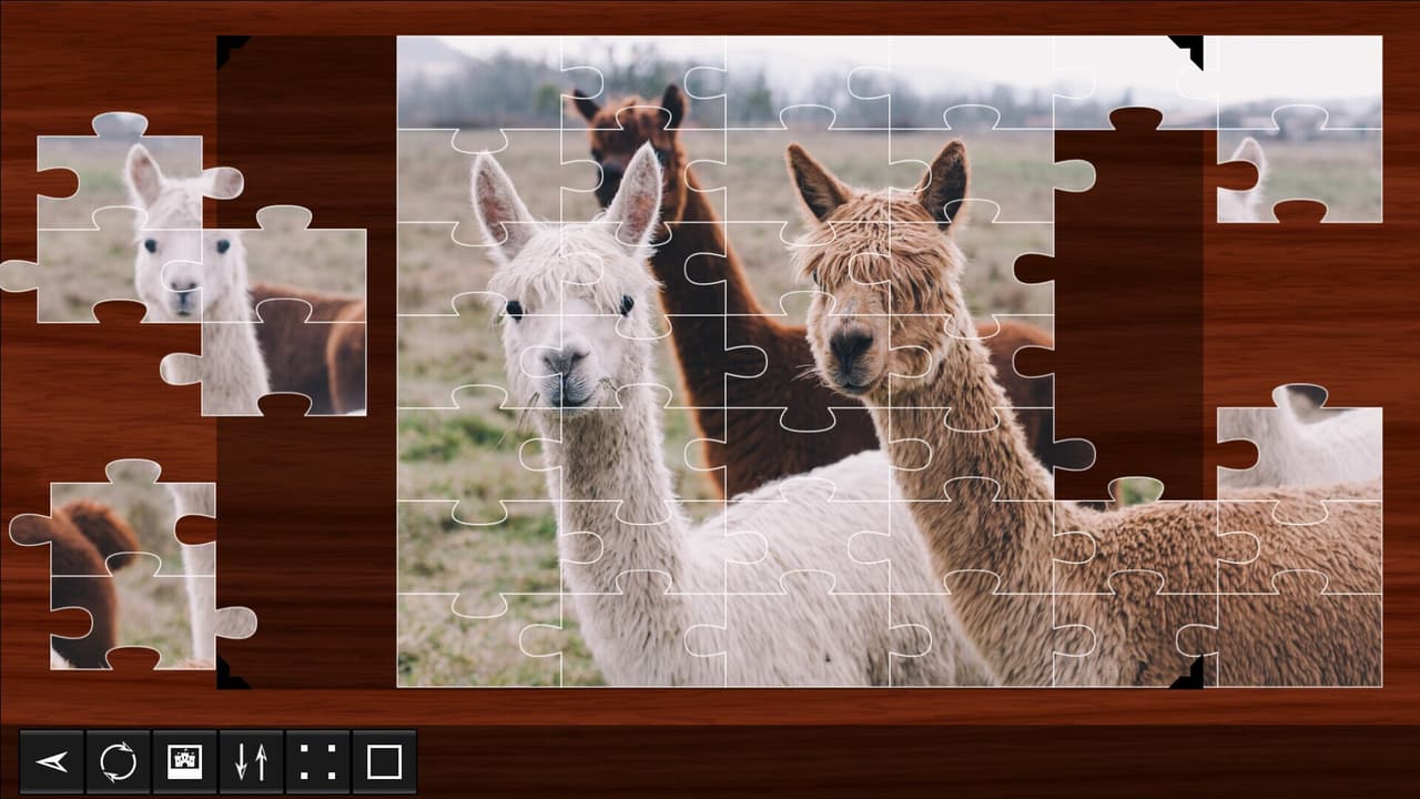 Jigsaw Puzzle World screenshot 4