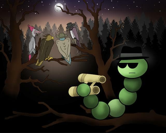 Birdy adventures of Sherlock Worm