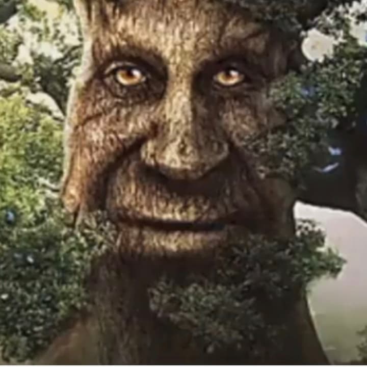 the quest for wise and mystical tree (Version 0.0.3 out!!!)