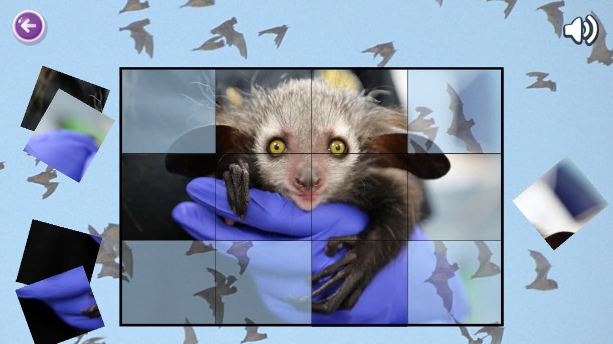 Mouse Puzzles screenshot 3