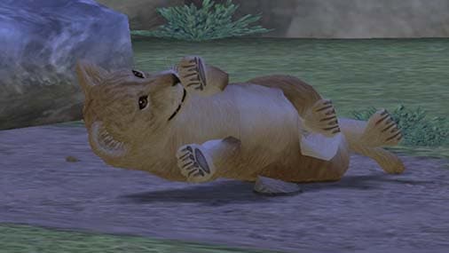 My Zoo screenshot 4