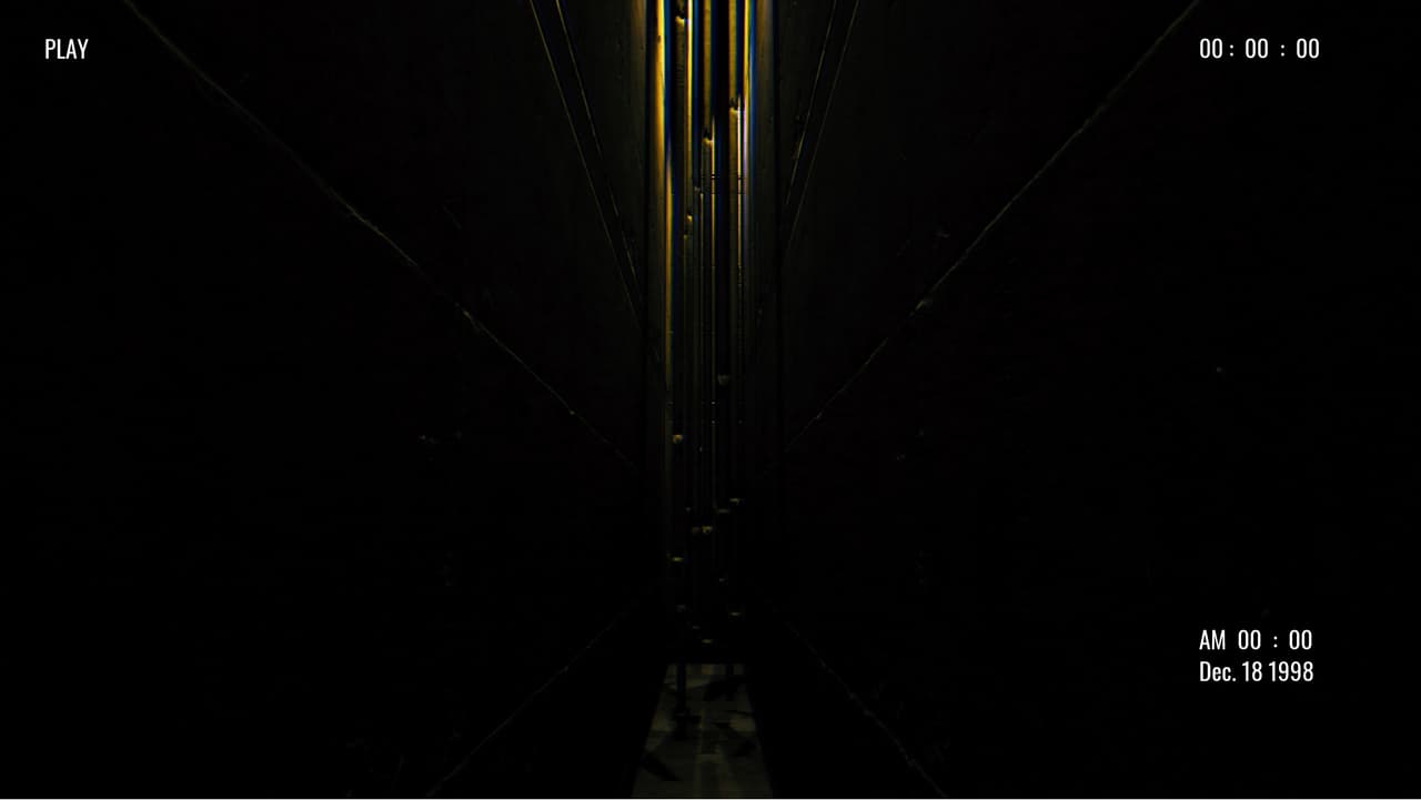 I Opened the Walls and Found Something Beautiful screenshot 5