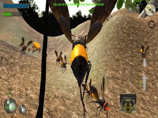 Wasp Nest Simulation Full