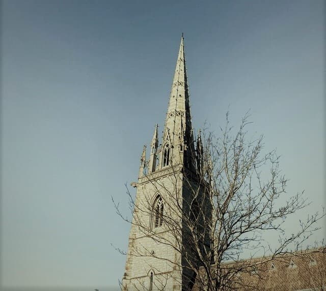 Chapel (c_orvidae)