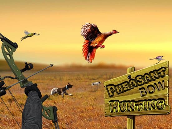 Pheasant Bow Hunting Safari screenshot 2