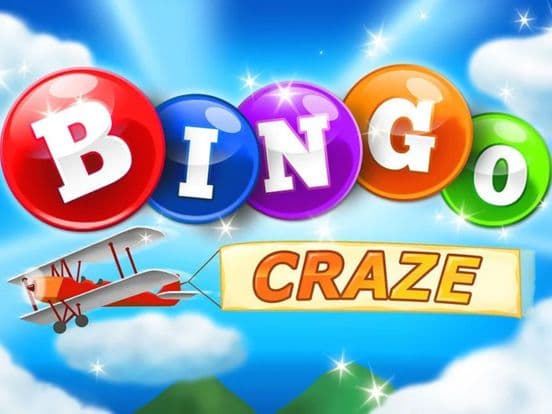 Bingo Craze! screenshot 2