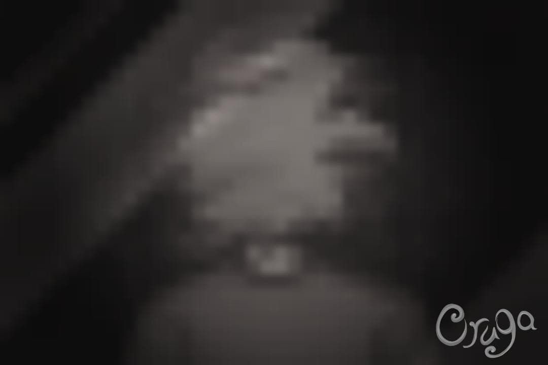 Oruga screenshot 3