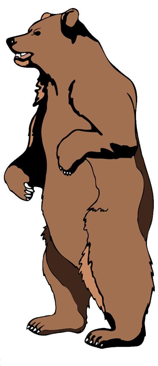 BearChase
