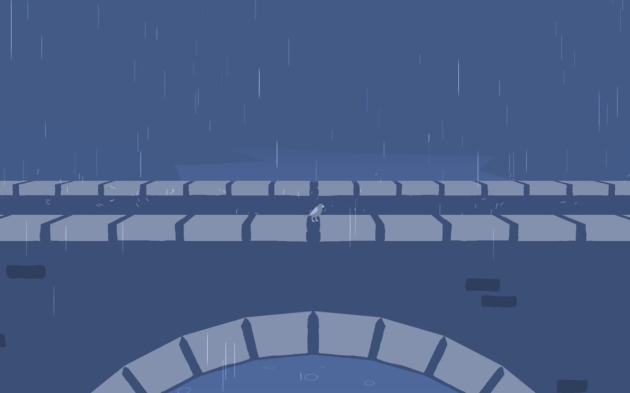Where Do Birds Go When It Rains?
