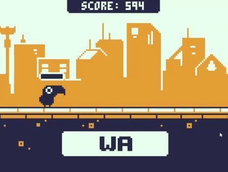 CMD Bird