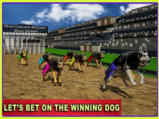 Race Dog Racer Simulator 2016 – Virtual Racing Championship with Real Police Dogs screenshot 3
