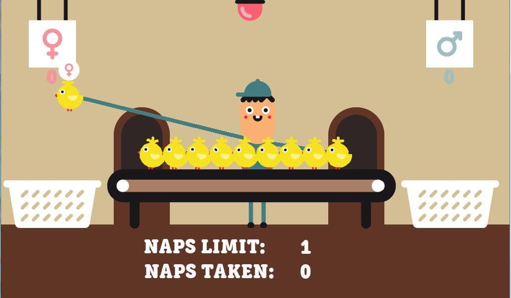 Sleepy Chicken Sexer screenshot 3