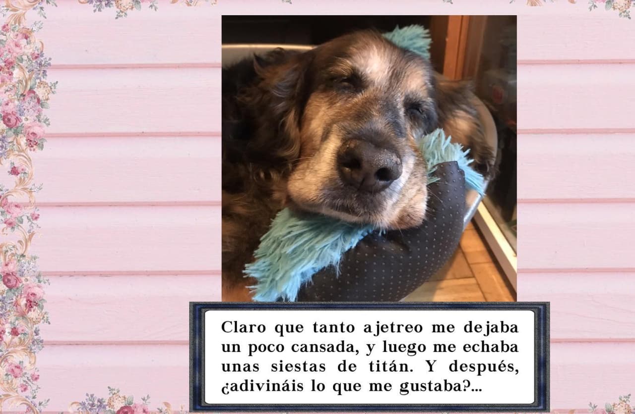 Brevísima historia de Lasca screenshot 4