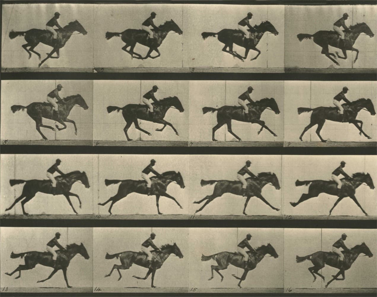 Run Muybridge, run!