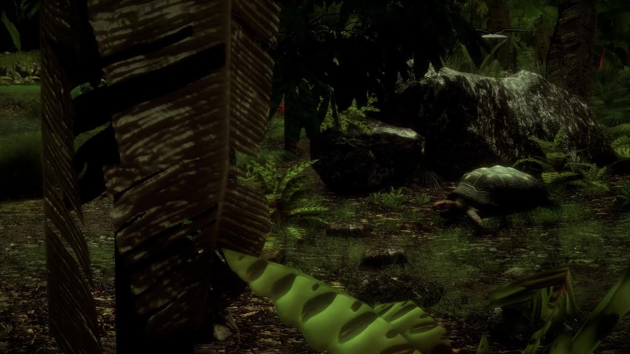 The Red-Footed Tortoise screenshot 4