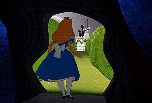 Following Alice