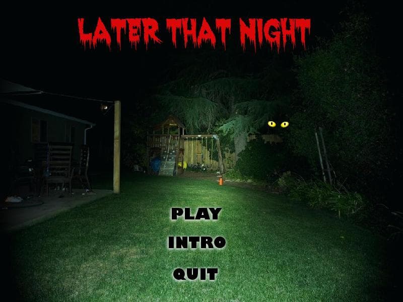 Later that Night screenshot 2
