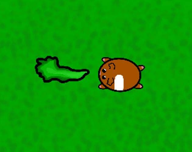 Guinea Pig Drift