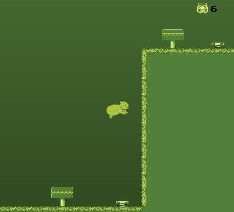 Kiwi The Koala screenshot 3