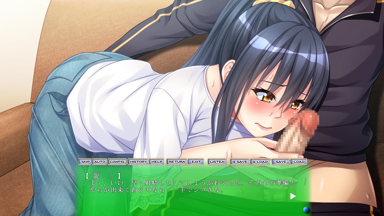 Dama Hame Tosatsu Nikki screenshot 3