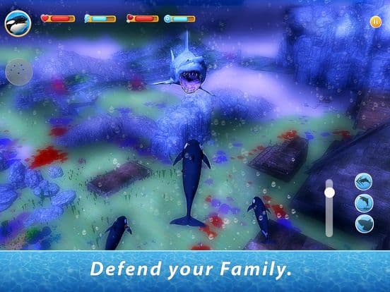 Orca Family Simulator screenshot 4
