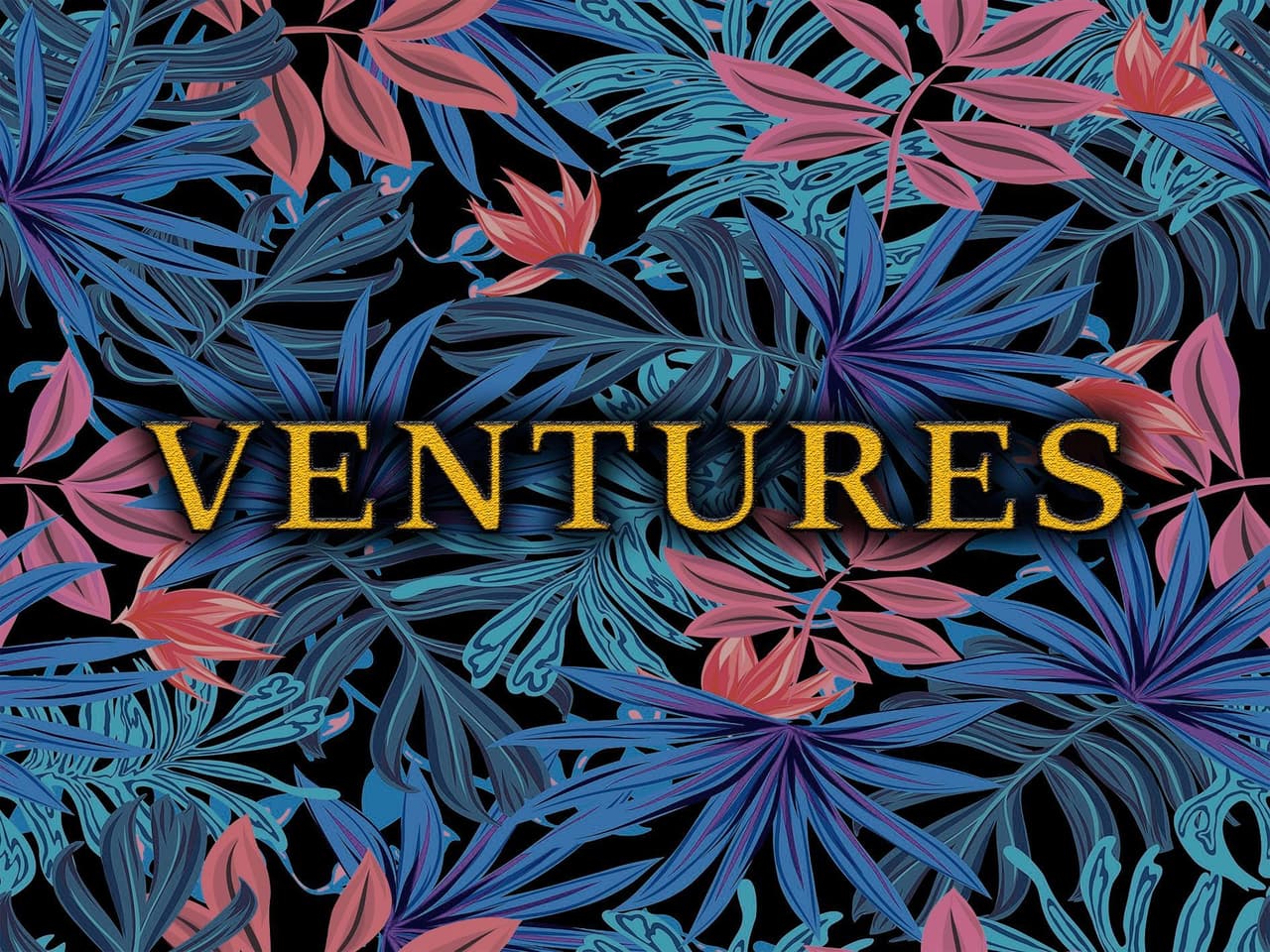 Ventures