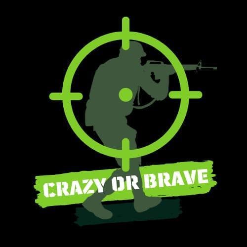 CRAZY OR BRAVE
