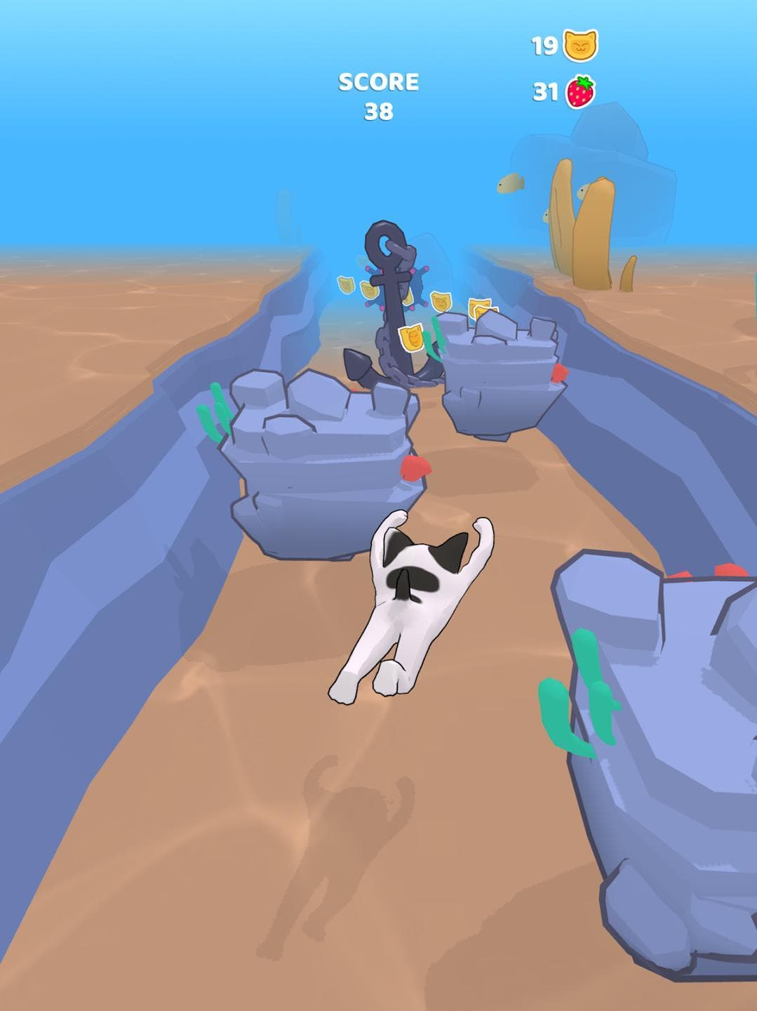 Squewe Run