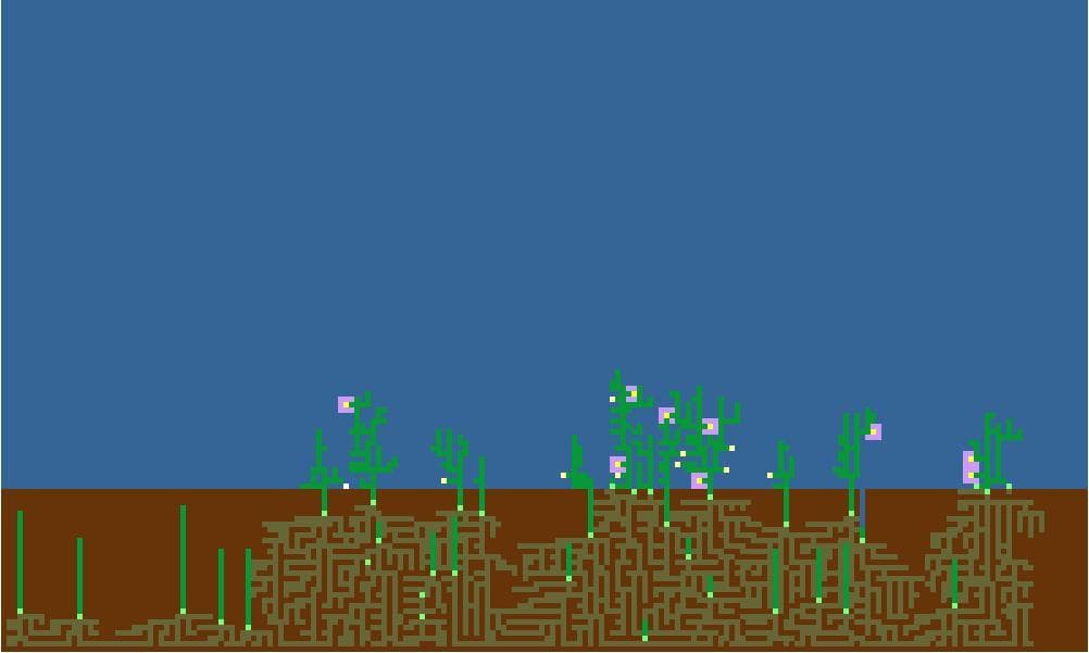 Blocks of life (Kyle Bignell)