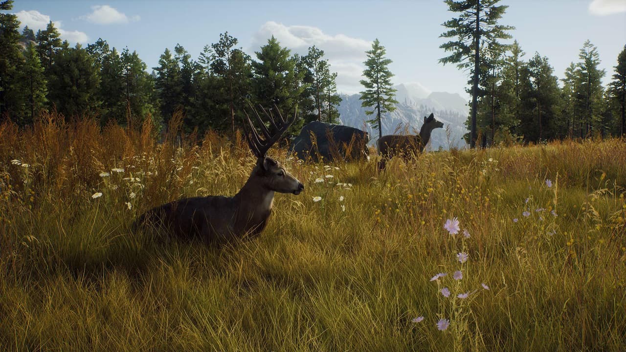Way of the Hunter screenshot 3