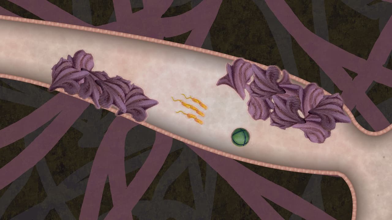 Biorhythm screenshot 4
