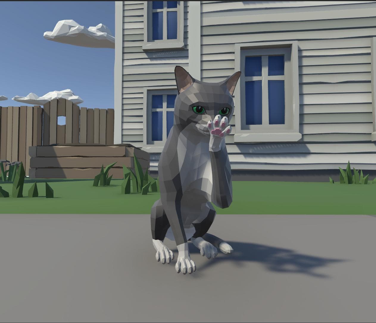 Tabby Dasher